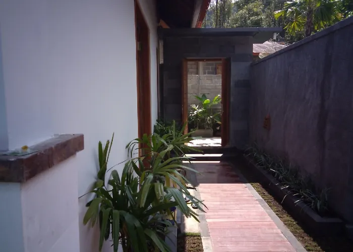 Nadira Bali